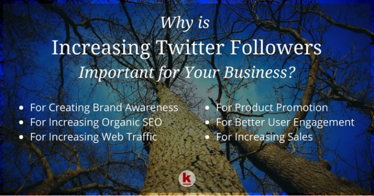 6 Reasons why Increasing Twitter Followers for Your Business is Important