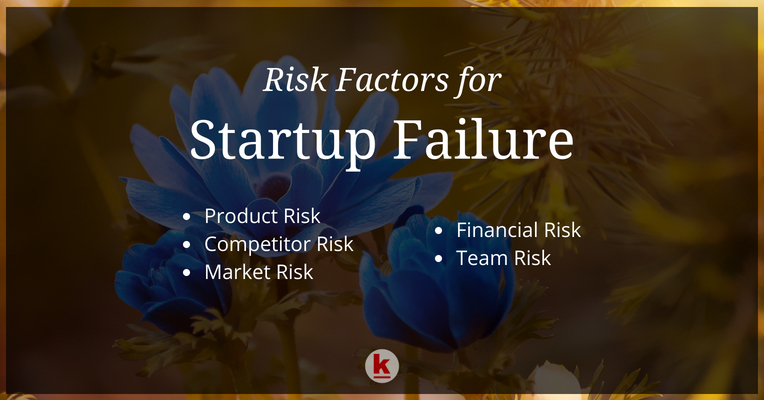 5 Risk Factors that Cause Startups to Fail