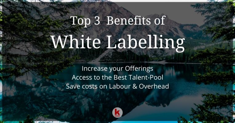 How can White Label Partnerships help your Business