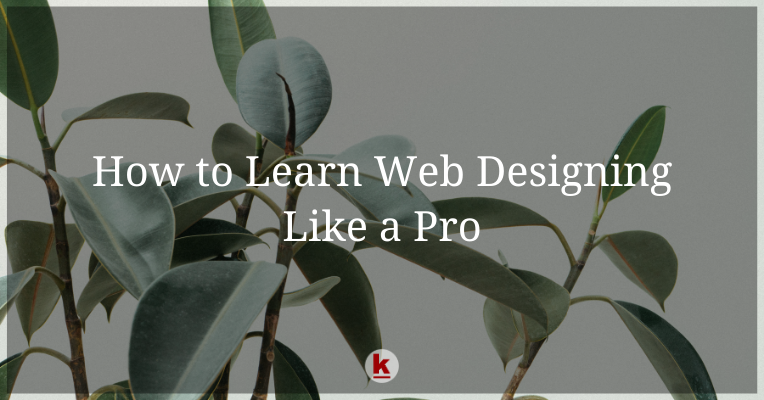 How to Learn Web Designing Like a Pro