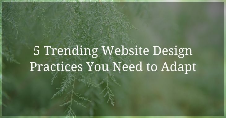 5 Trending Website Design Practices You Need to Adapt