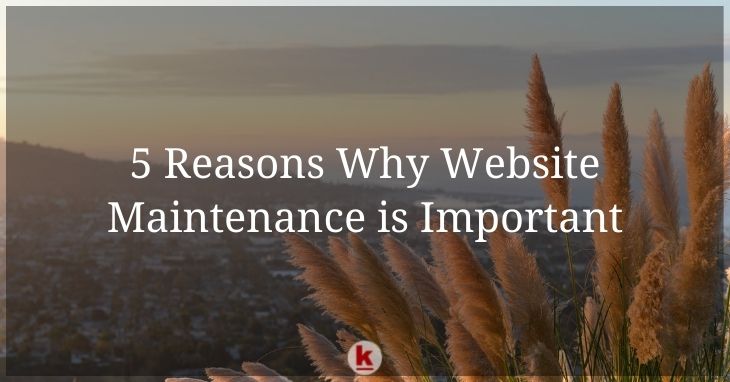 5 Reasons Why Website Maintenance is Important