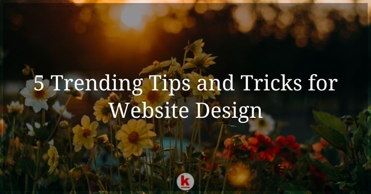 5 Trending Tips and Tricks for Website Design