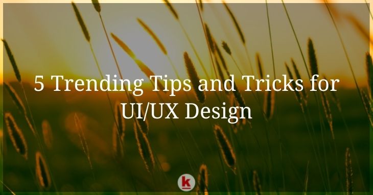 5 Trending Tips and Tricks for UI/UX Design