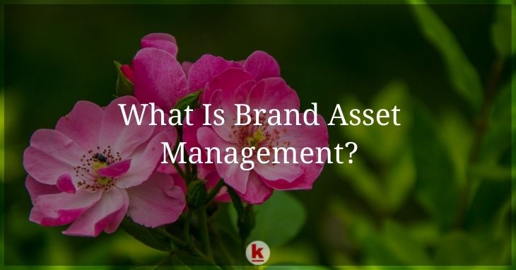 What Is Brand Asset Management?